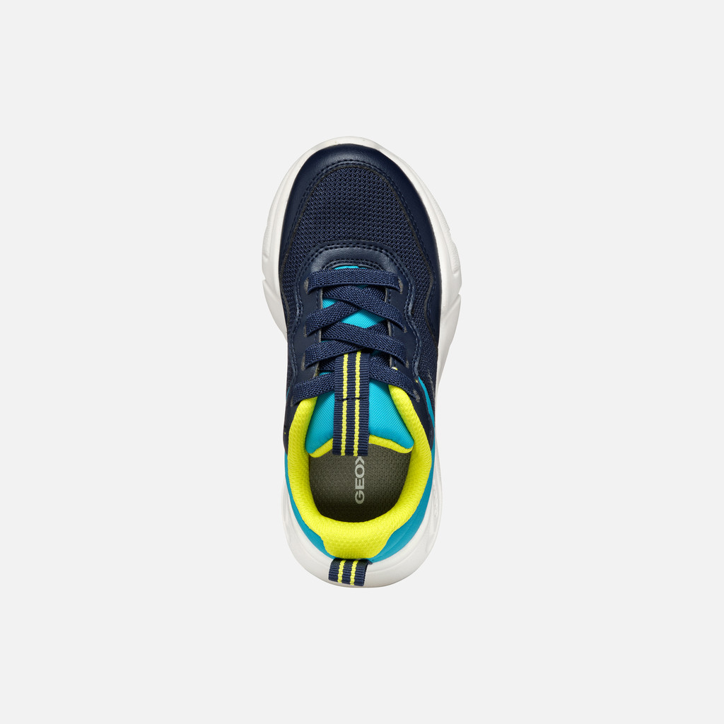 Low top sneakers LOFTUS BOY Navy/Turquoise - image number 5 | GEOX