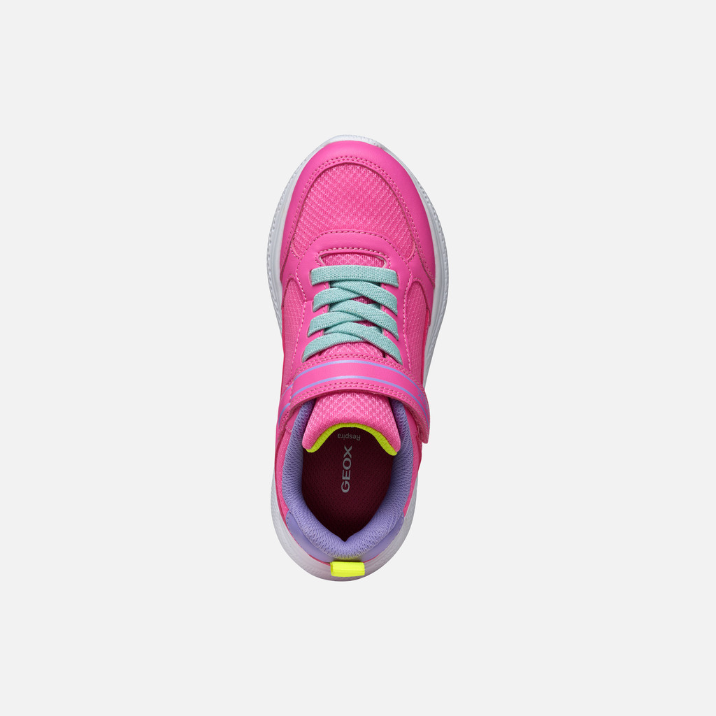 Low top sneakers SPRINTYE GIRL Fluo fuchsia/Dark lilac - image number 5 | GEOX