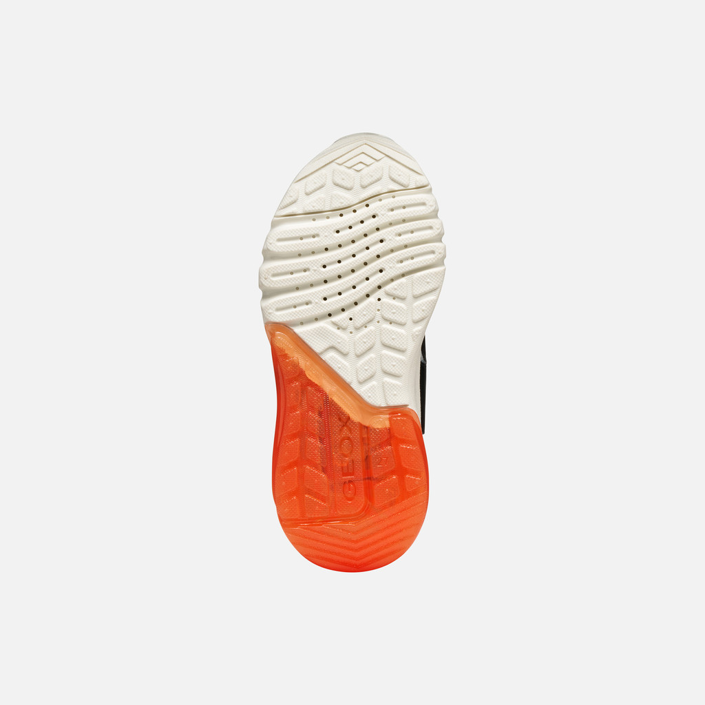 Harry Potter CIBERDRON JUNIOR Black/Orange - image number 6 | GEOX