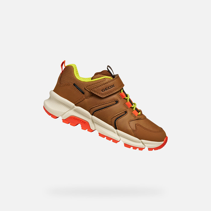 Low top sneakers FLEXYPER PLUS ABX BOY Brown/Orange | GEOX