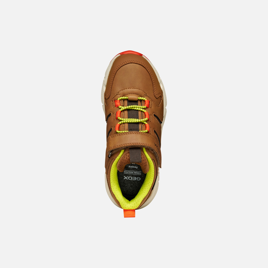 Low top sneakers FLEXYPER PLUS ABX BOY Brown/Orange - image number 5 | GEOX