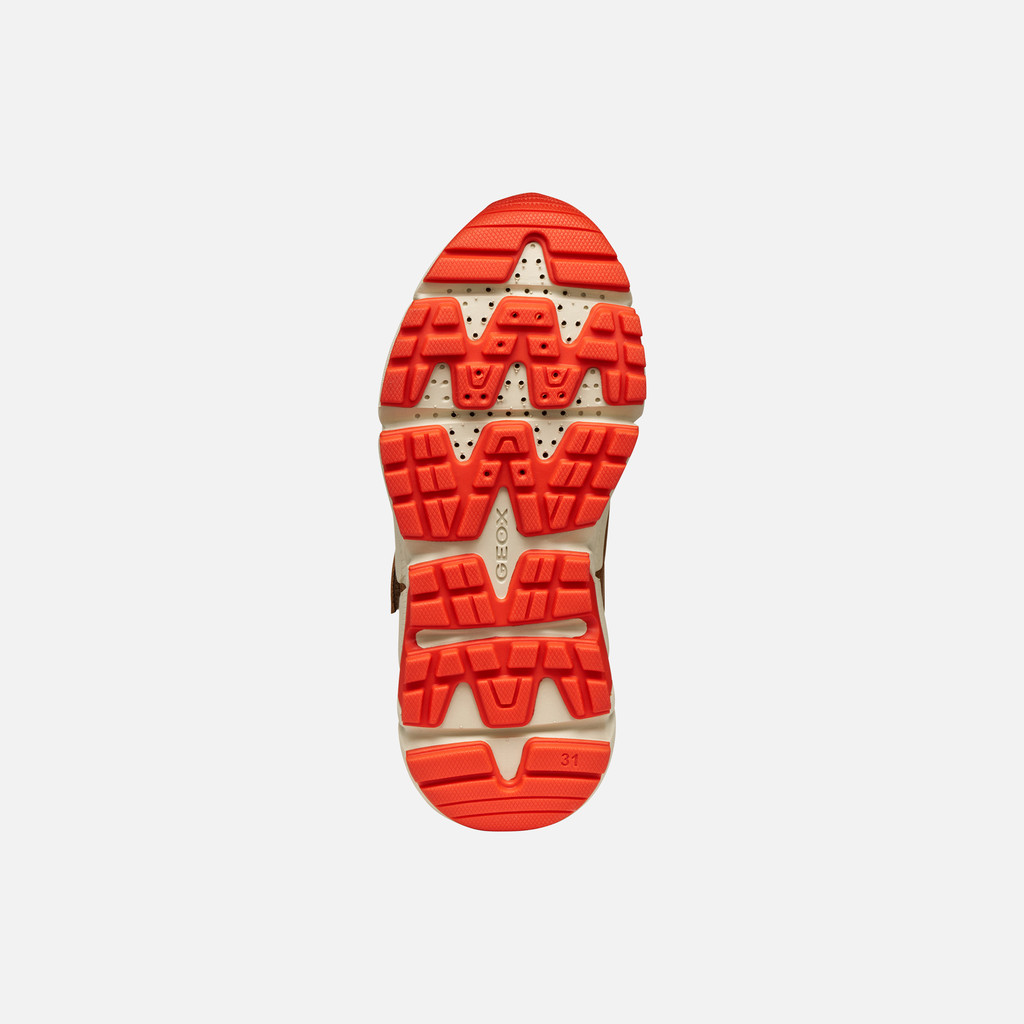 Low top sneakers FLEXYPER PLUS ABX BOY Brown/Orange - image number 6 | GEOX