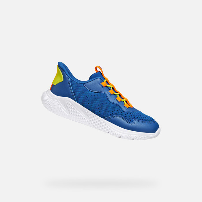 Sneakers basse SPRINTYE FAST IN BAMBINO Royal blu/Arancione | GEOX