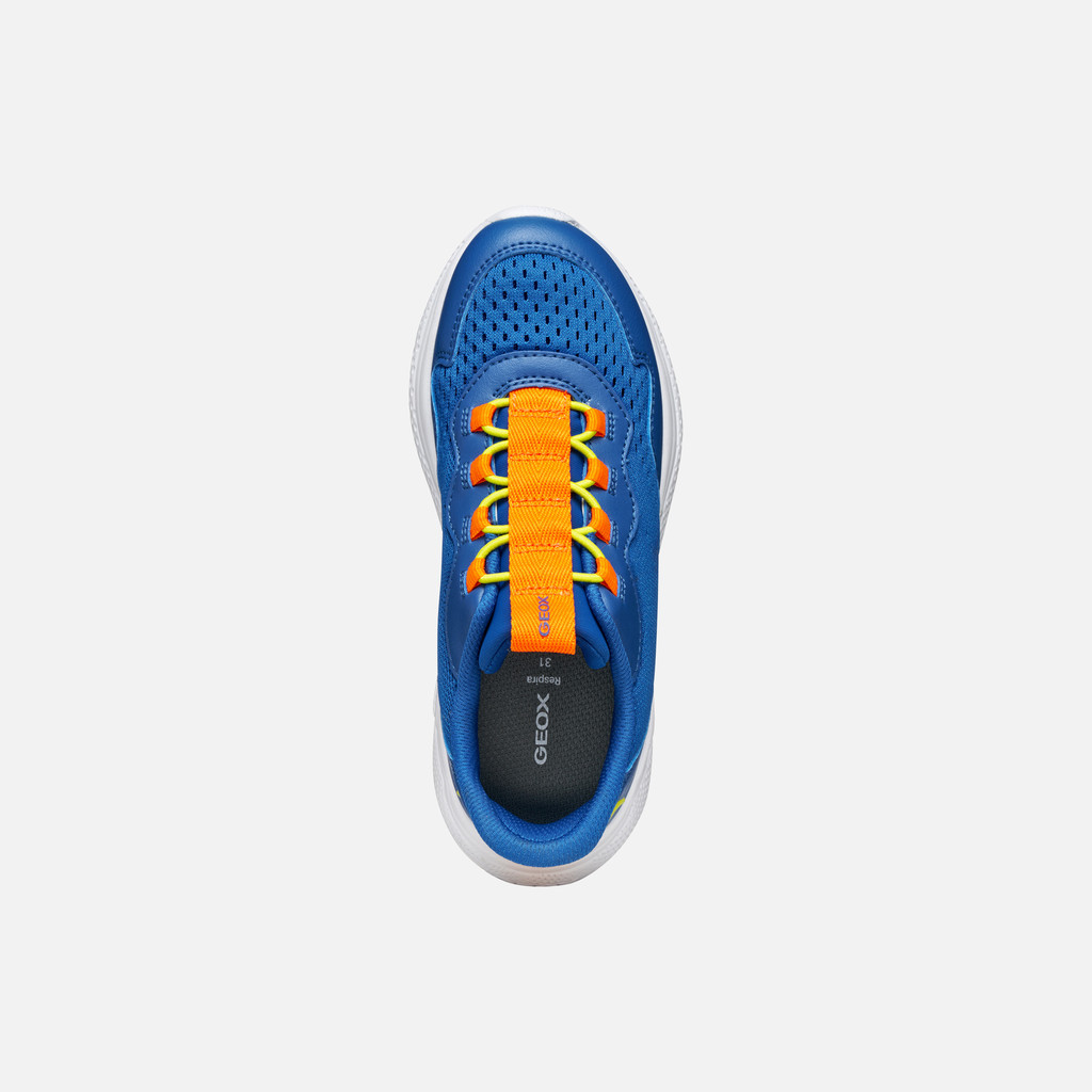 Low top sneakers SPRINTYE FAST IN BOY Royal/Orange - image number 5 | GEOX