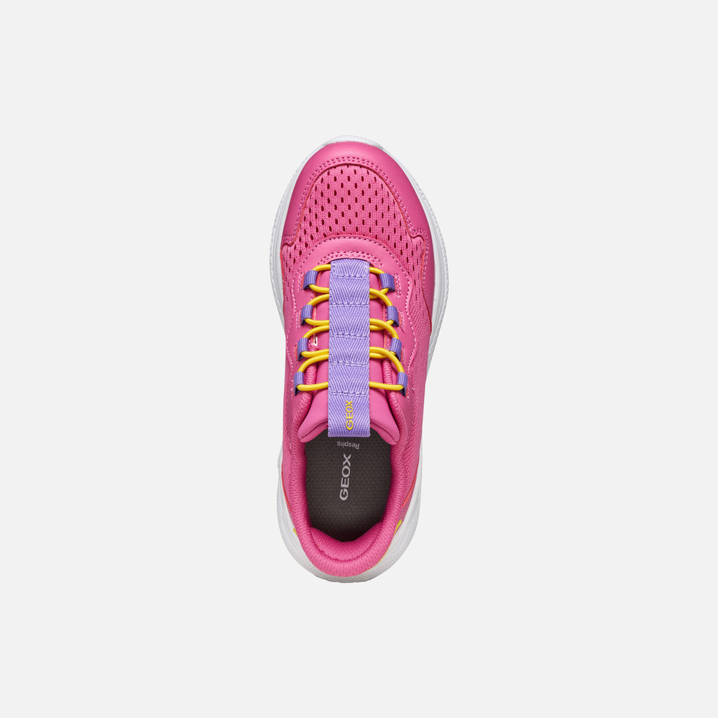 Low top sneakers SPRINTYE FAST IN JUNIOR Dark Fuchsia/Violet - image number 5 | GEOX