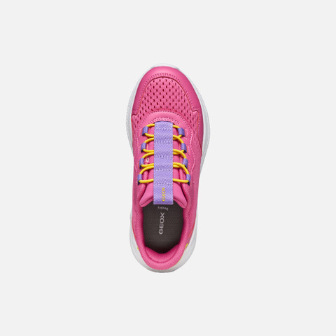 Low top sneakers SPRINTYE FAST IN JUNIOR Dark Fuchsia/Violet - image number 5 | GEOX