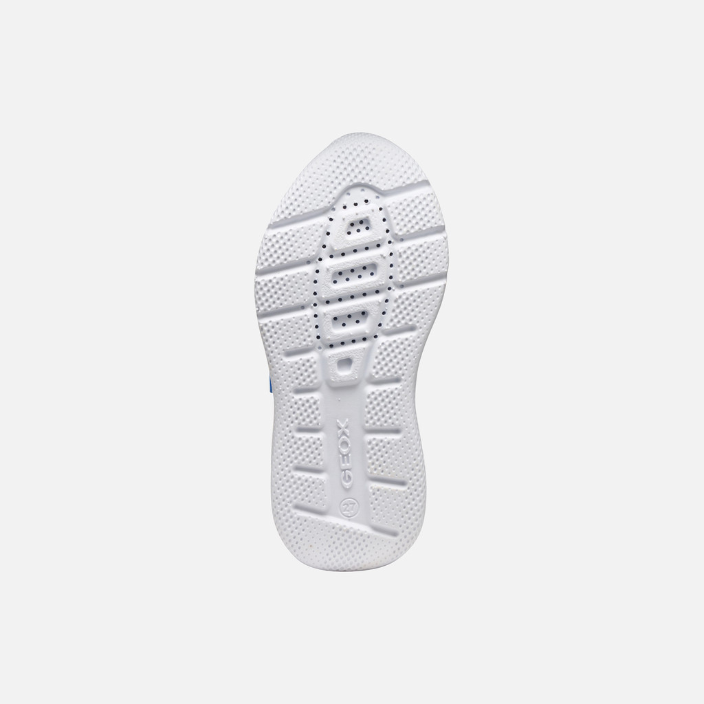 Low top sneakers SPRINTYE BOY Royal - image number 6 | GEOX
