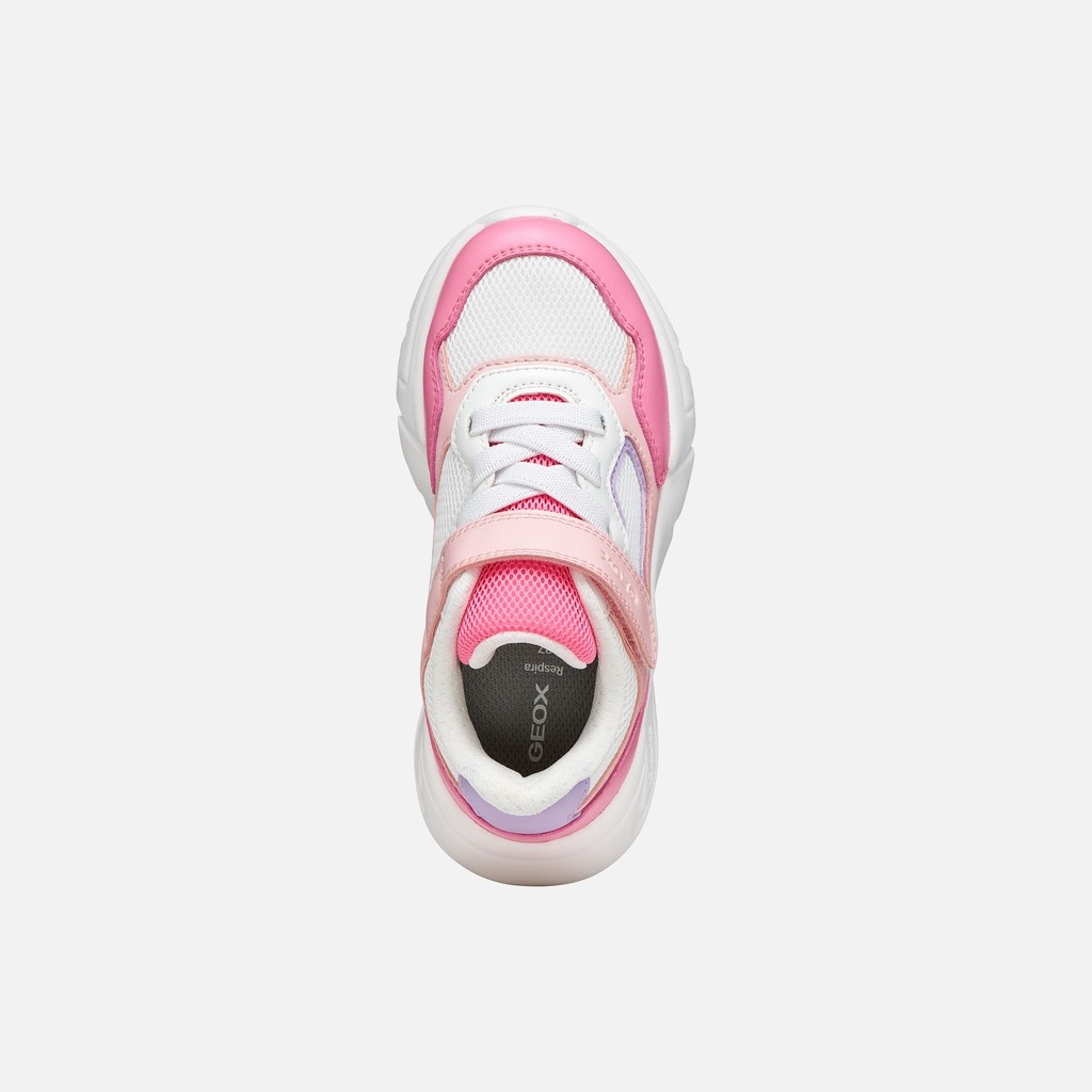 Low top sneakers LOFTUS GIRL Salmon/White - image number 5 | GEOX