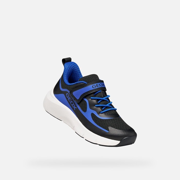 Hard toe sneakers PRO-RAN JUNIOR Black/Royal | GEOX