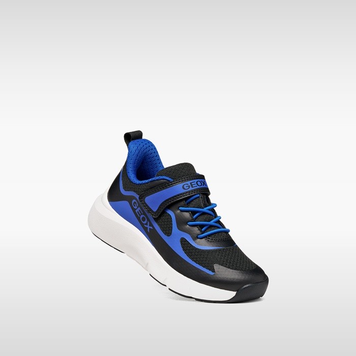 Hard toe sneakers PRO-RAN JUNIOR Black/Royal - image number 4 | GEOX
