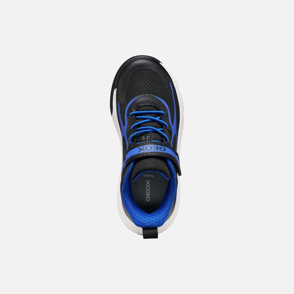 Hard toe sneakers PRO-RAN JUNIOR Black/Royal - image number 5 | GEOX