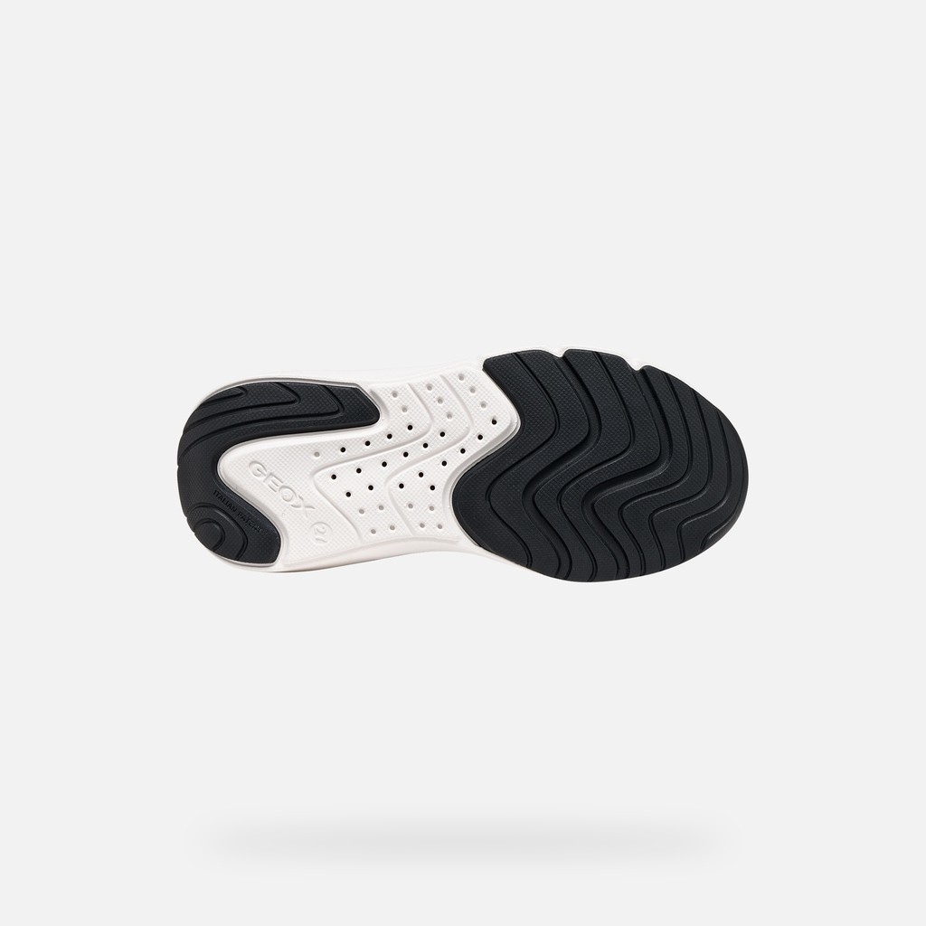 Hard toe sneakers PRO-RAN JUNIOR Black/Royal - image number 6 | GEOX