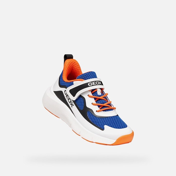 Sneakers punta rinforzata PRO-RAN JUNIOR Royal blu/Bianco | GEOX
