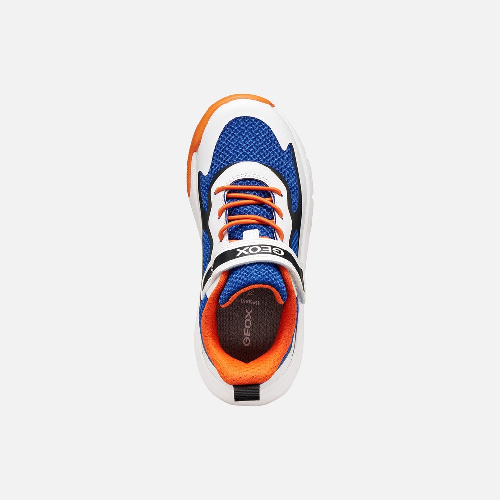Sneakers punta rinforzata PRO-RAN JUNIOR Royal blu/Bianco - image number 5 | GEOX