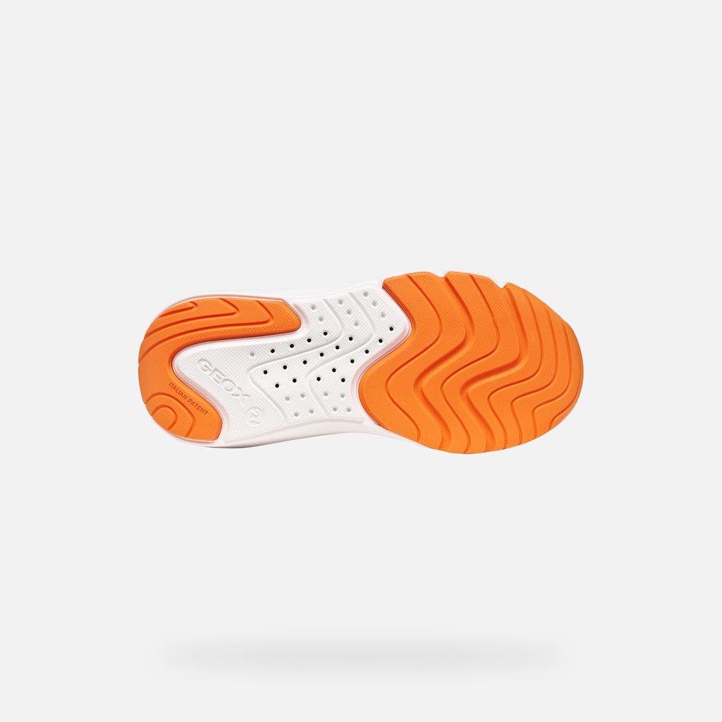Sneakers punta rinforzata PRO-RAN JUNIOR Royal blu/Bianco - image number 6 | GEOX