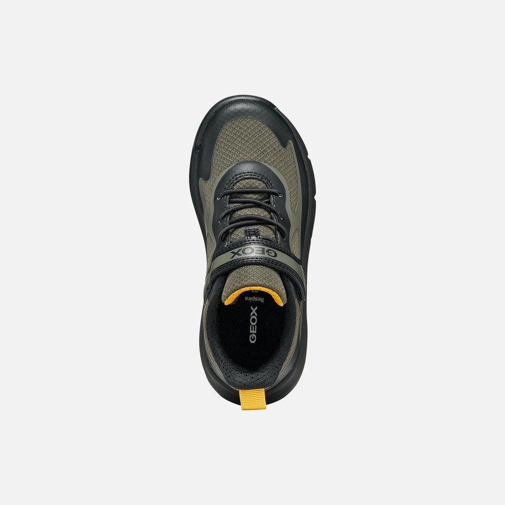 Hard toe sneakers PRO-RAN JUNIOR Dark Green/Black - image number 5 | GEOX