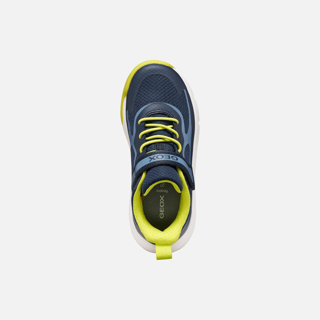 Hard toe sneakers PRO-RAN JUNIOR Navy/Light Blue - image number 5 | GEOX