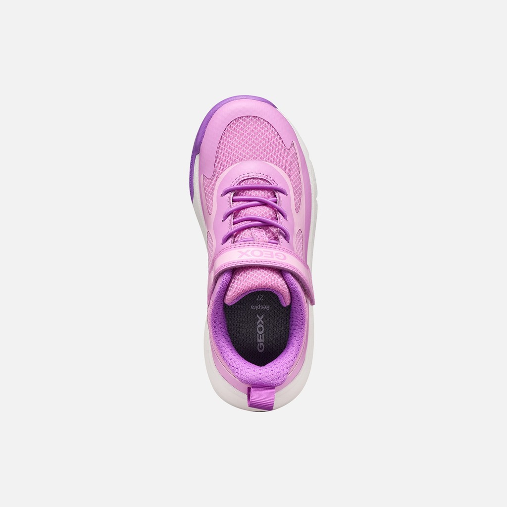 Hard toe sneakers PRO-RAN JUNIOR Dark Pink - image number 5 | GEOX