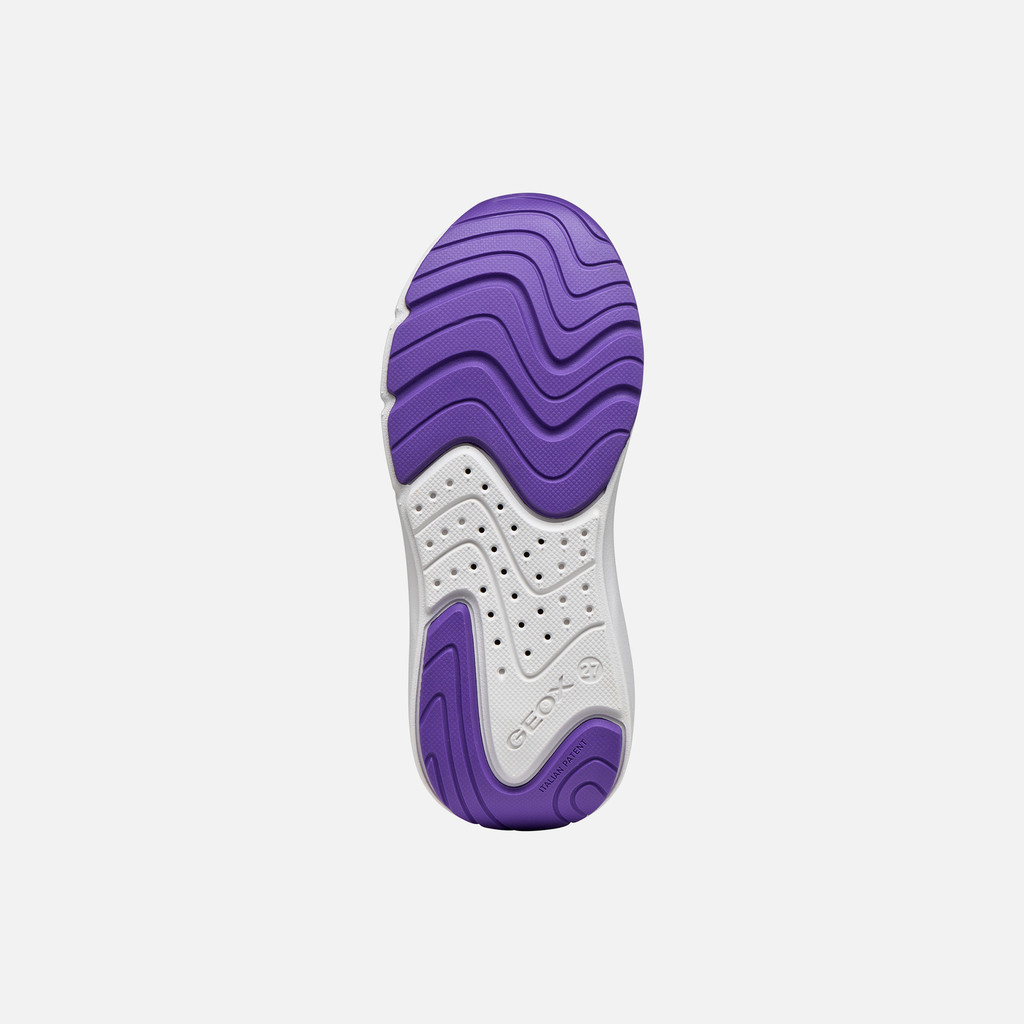 Baskets basse PRO-RAN JUNIOR Violet/Lilas - image number 6 | GEOX