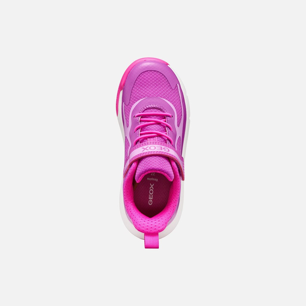 Hard toe sneakers PRO-RAN JUNIOR Purple/Fluo Fuchsia - image number 5 | GEOX