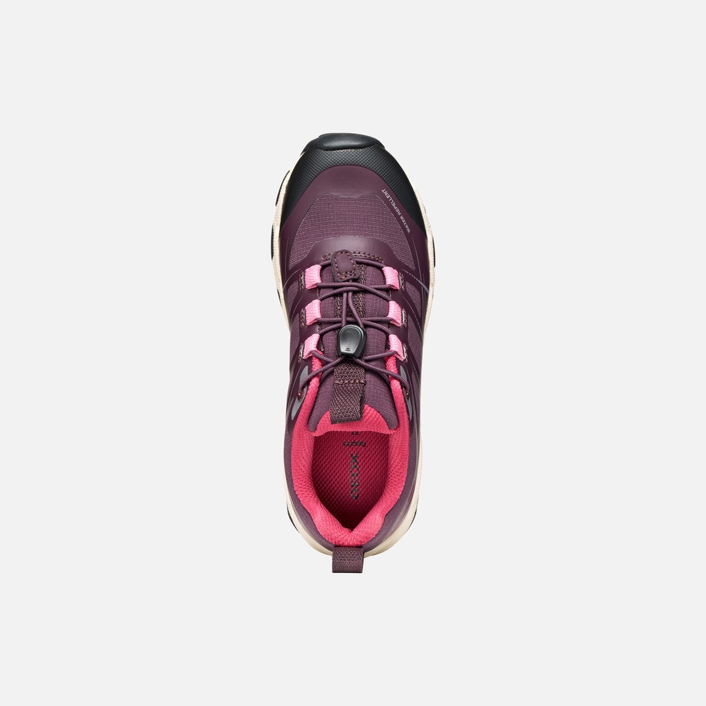 Waterproof sneakers MAGNETAR   GIRL Burgundy/Pink - image number 5 | GEOX