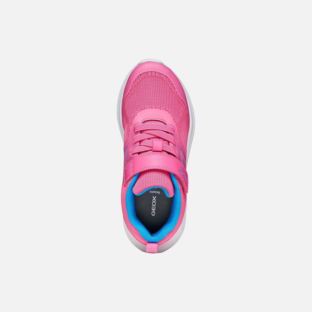 Lightweight breathable shoes SPRINTYE GIRL Fuchsia/Royal - image number 5 | GEOX