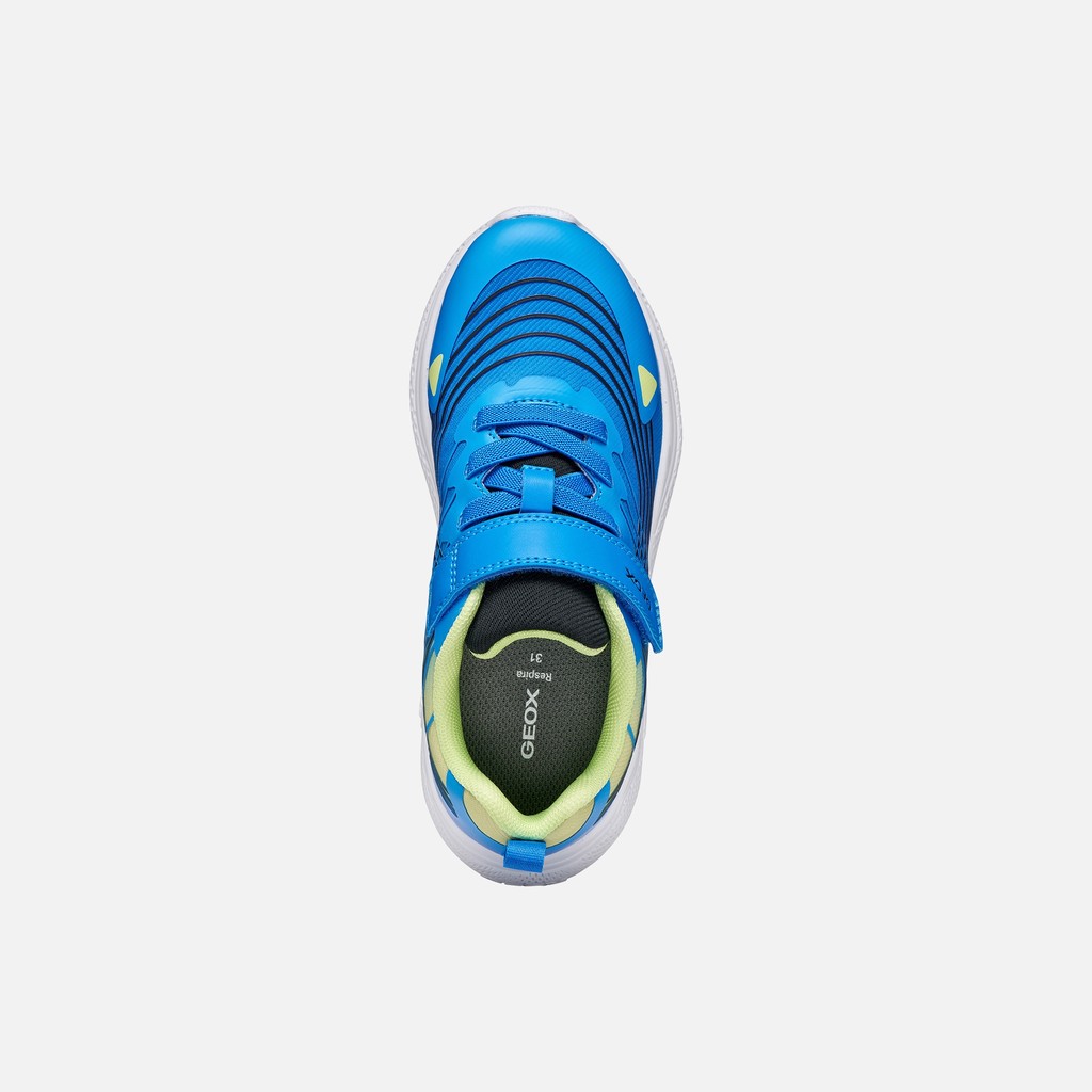 Scarpe leggere e traspiranti SPRINTYE BAMBINO Royal blu/Lime - image number 5 | GEOX