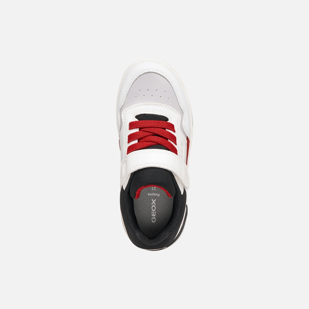 washiba boy — white/red