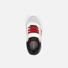 washiba boy — white/red 6