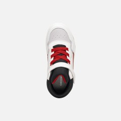 washiba boy — white/red 6