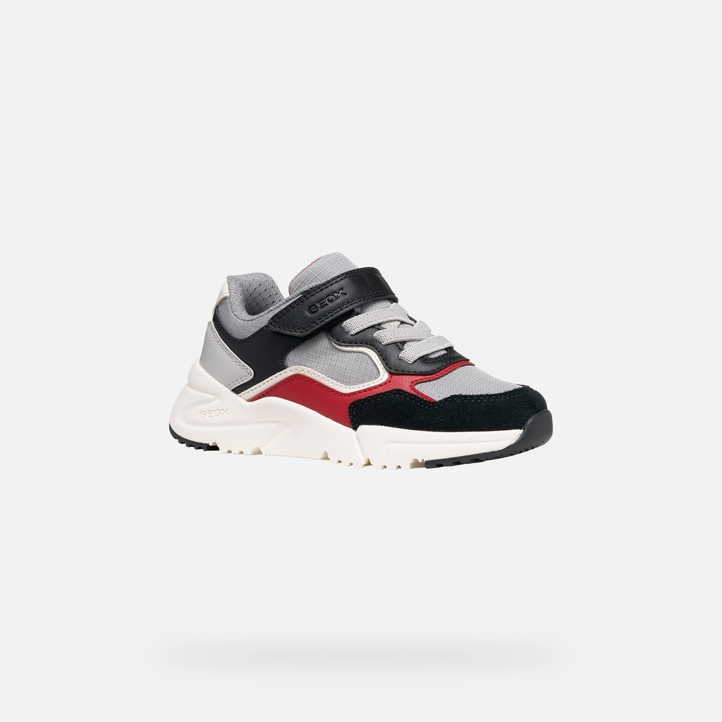 Low top sneakers LOFTUS BOY Gray/Black - image number 2 | GEOX