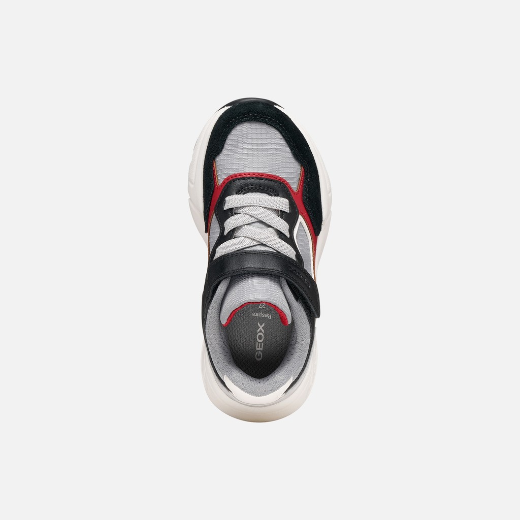 Low top sneakers LOFTUS BOY Gray/Black - image number 5 | GEOX