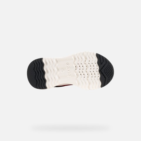 Low top sneakers LOFTUS BOY Gray/Black - image number 6 | GEOX