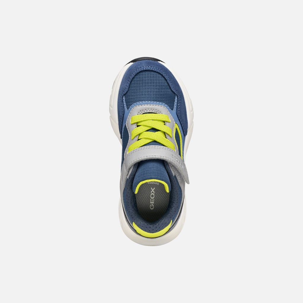 Low top sneakers LOFTUS BOY Denim/Grey - image number 5 | GEOX