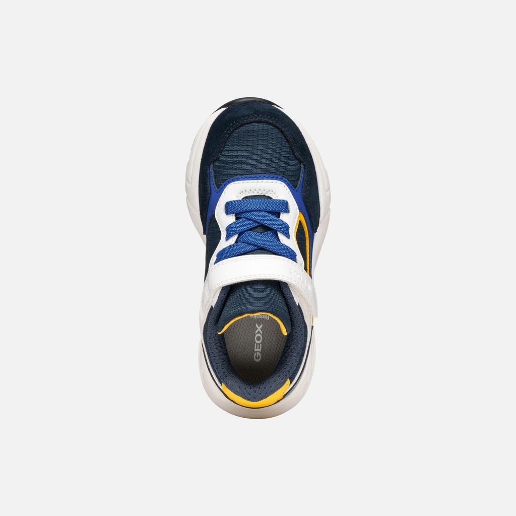 Low top sneakers LOFTUS BOY Navy/White - image number 5 | GEOX