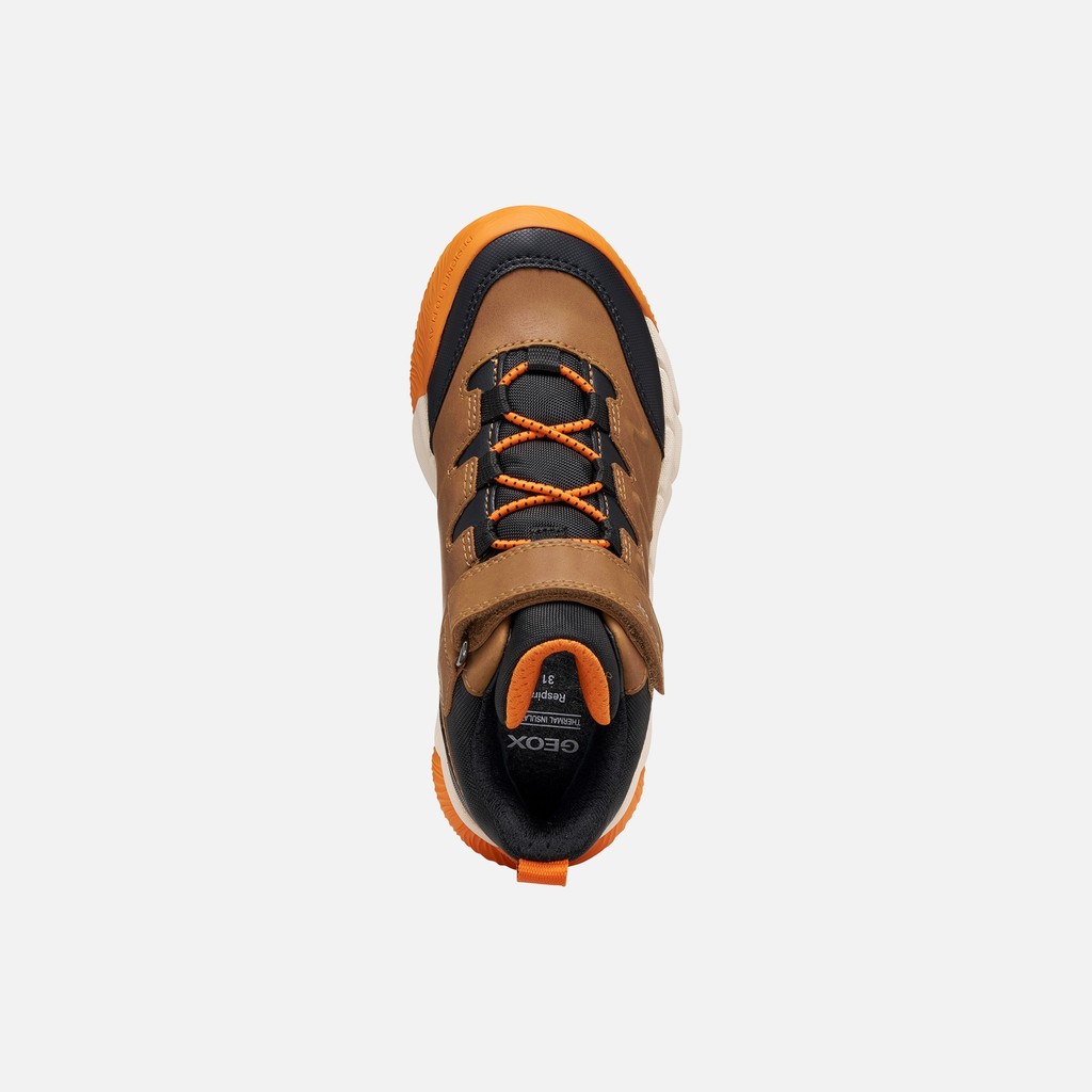 Waterproof ankle boots FLEXYPER PRO ABX BOY Brown - image number 5 | GEOX