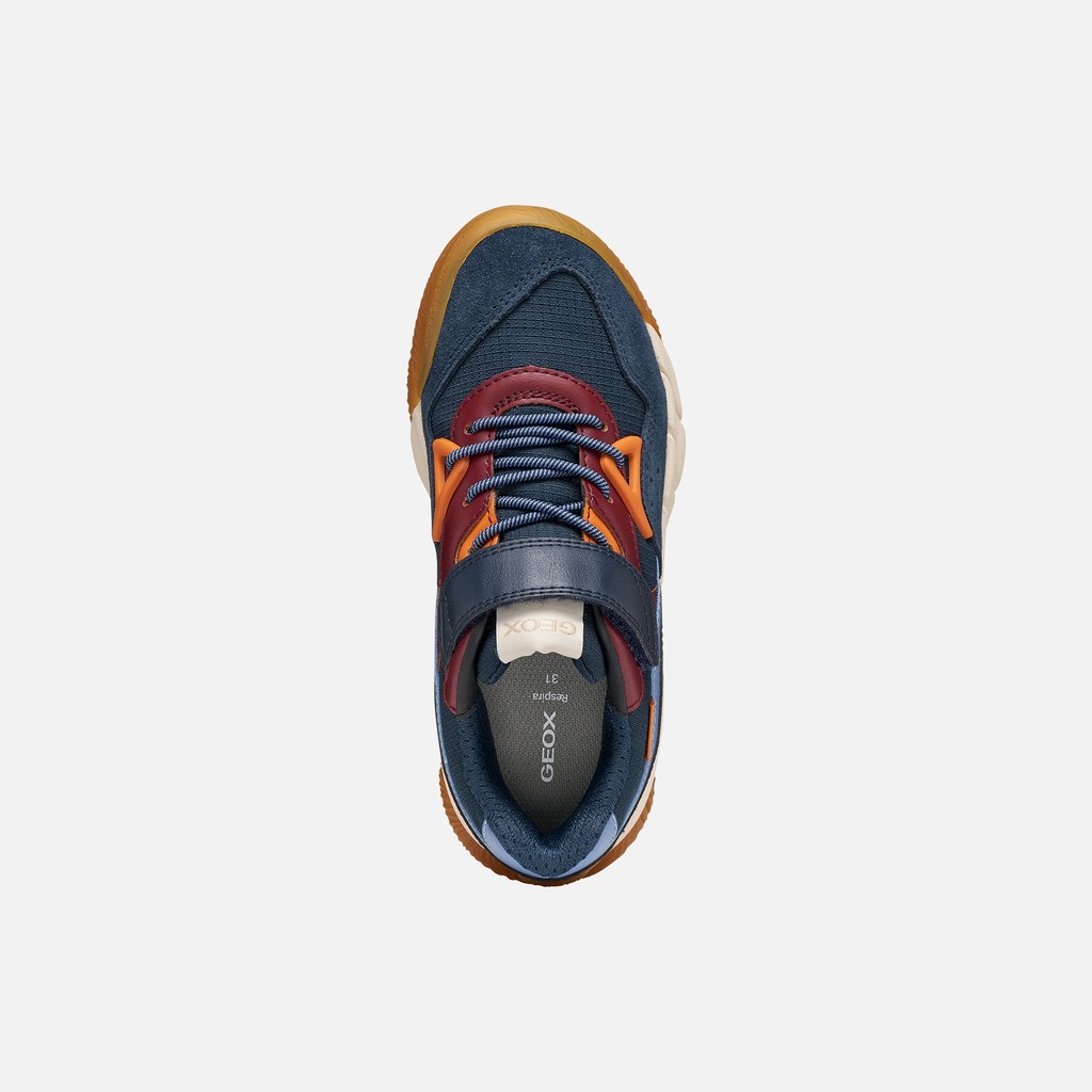 Hard toe sneakers FLEXYPER PRO BOY Dark navy/Bordeaux - image number 5 | GEOX