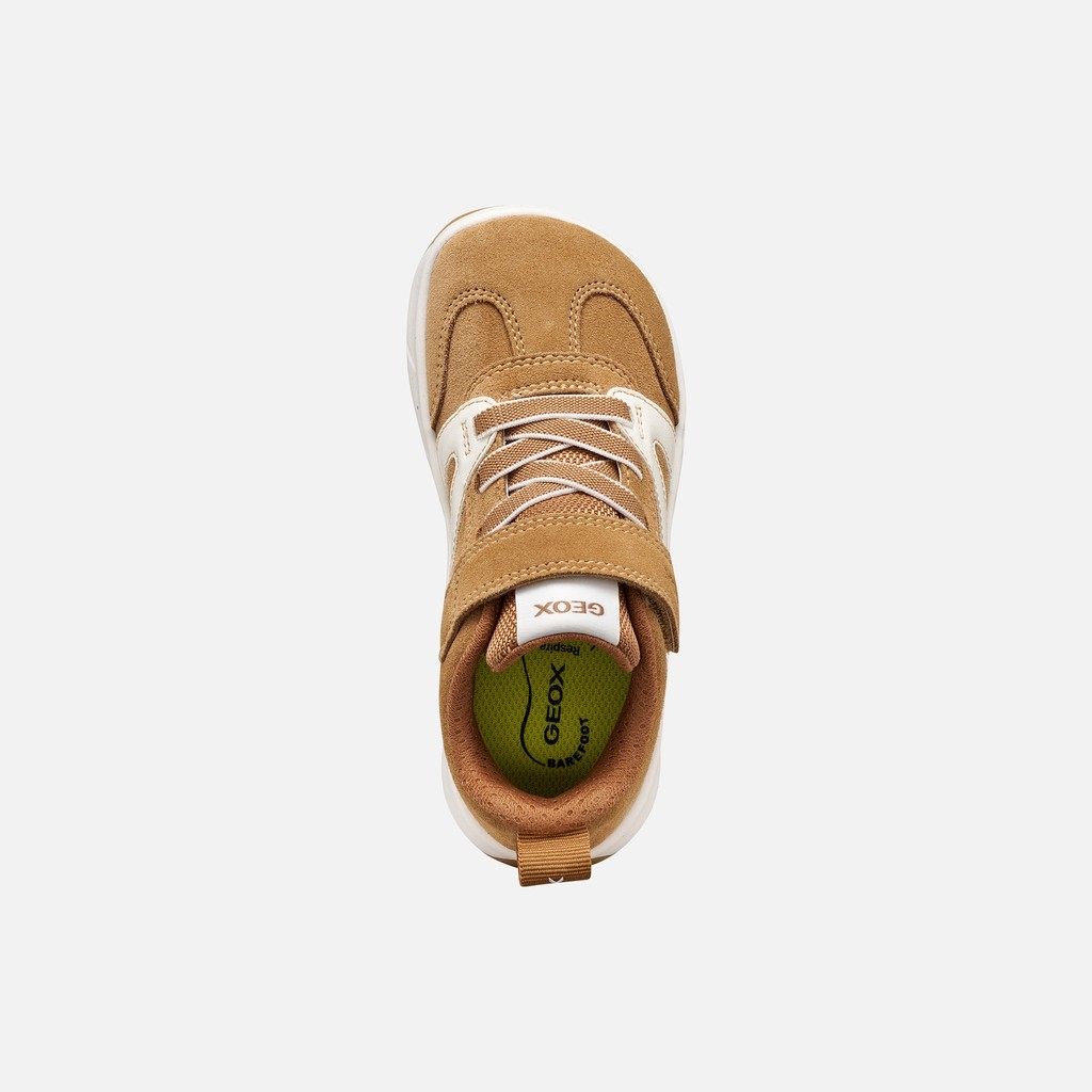 Lightweight and flexible Barefoot shoes FOOT-RUN BOY Caramel/White - image number 5 | GEOX