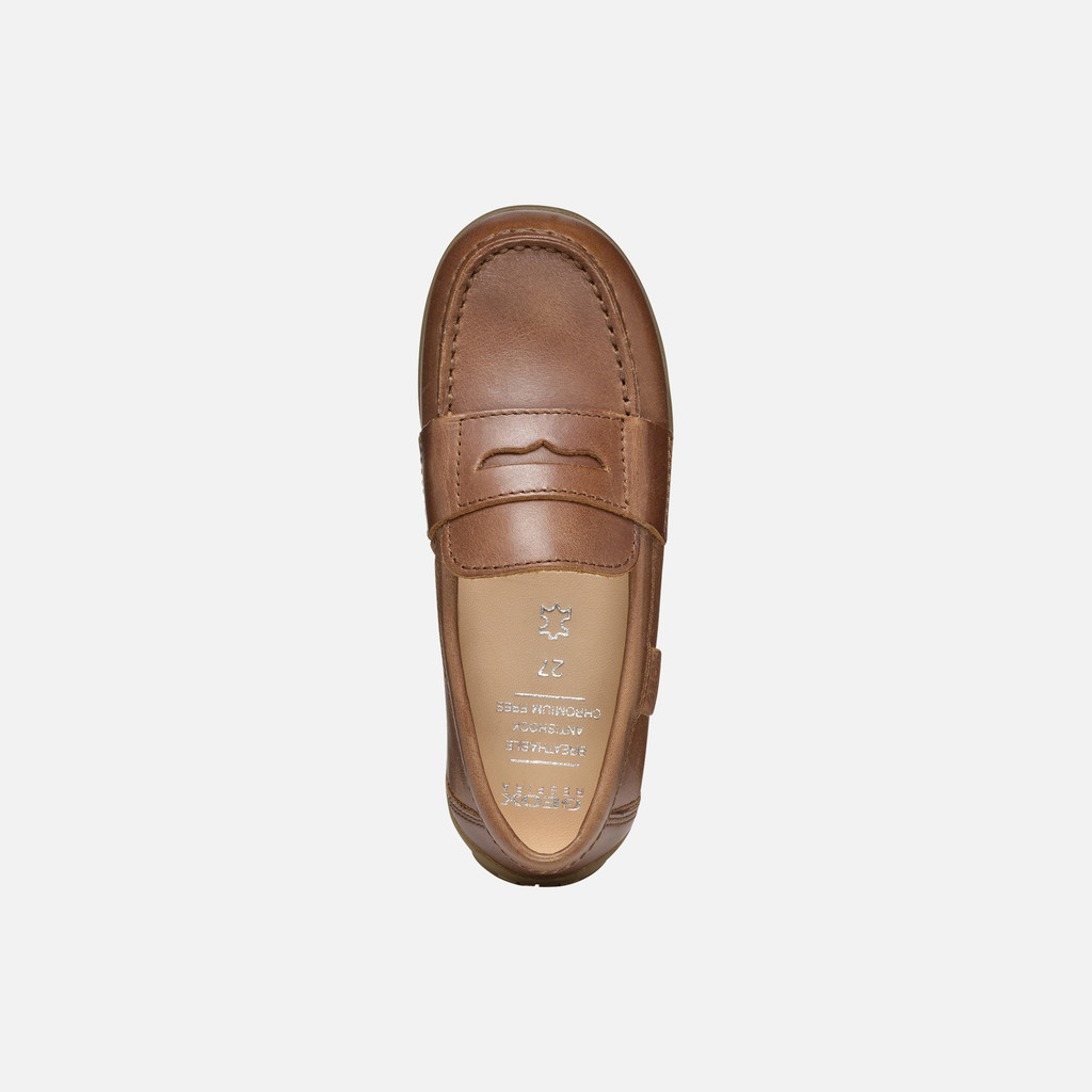 leather loafers NEW FAST BOY Coffee - image number 5 | GEOX