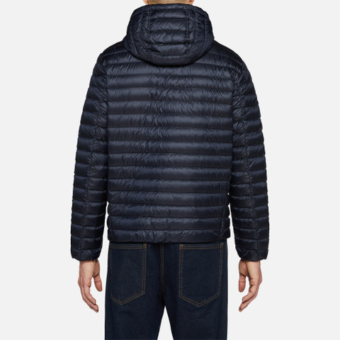 short down jacket WARRENS MAN Sky captain - image number 5 | GEOX