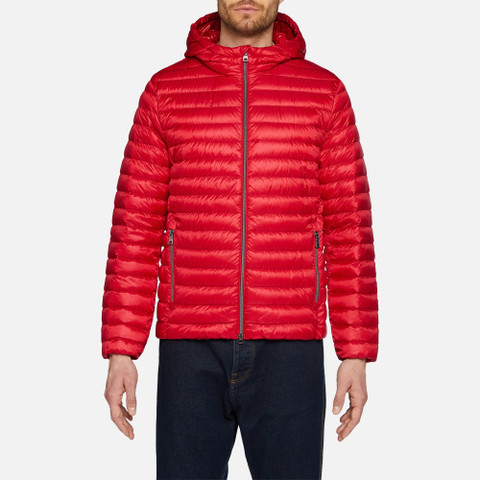short down jacket WARRENS MAN True red - image number 1 | GEOX