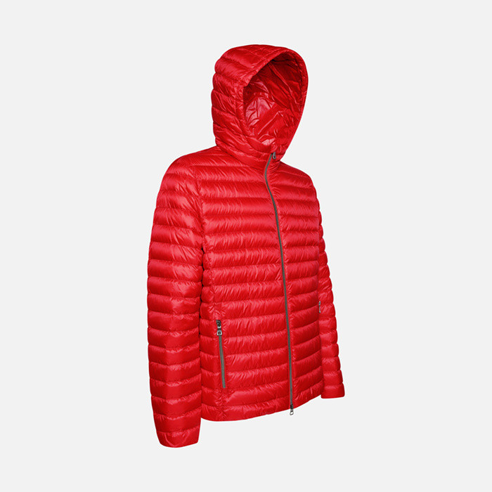 Short down jacket WARRENS MAN True red | GEOX