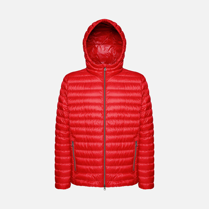 Short down jacket WARRENS MAN True red | GEOX