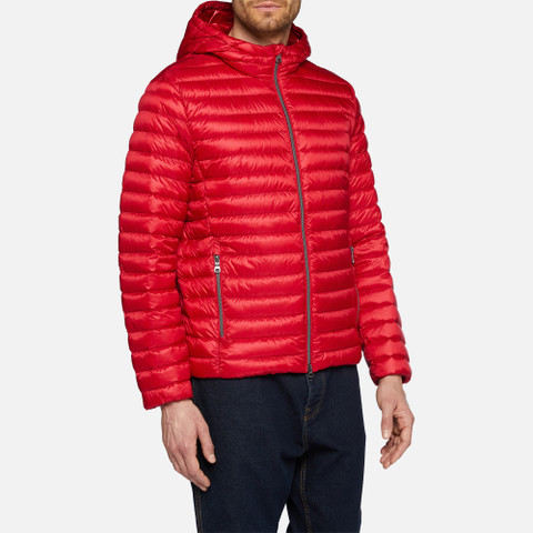 short down jacket WARRENS MAN True red - image number 3 | GEOX