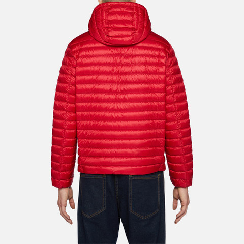 short down jacket WARRENS MAN True red - image number 5 | GEOX