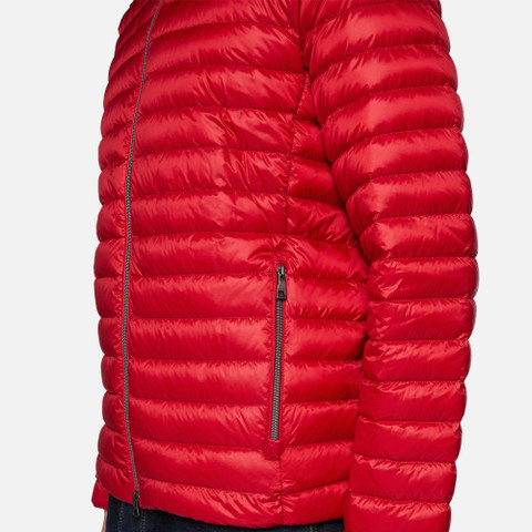 short down jacket WARRENS MAN True red - image number 8 | GEOX