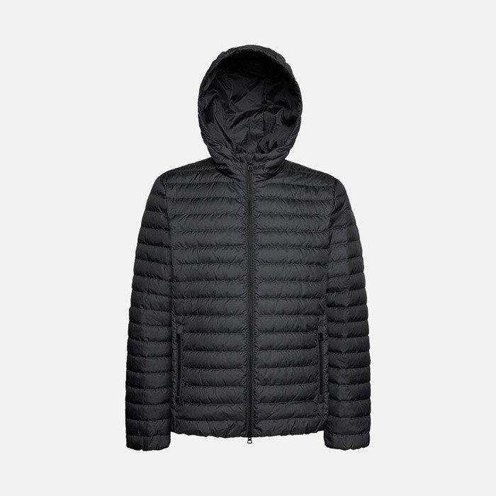 Short down jacket DERECK MAN Gray pinstripe/Black | GEOX