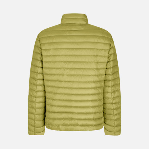 short down jacket WARRENS MAN Green olive - image number 4 | GEOX