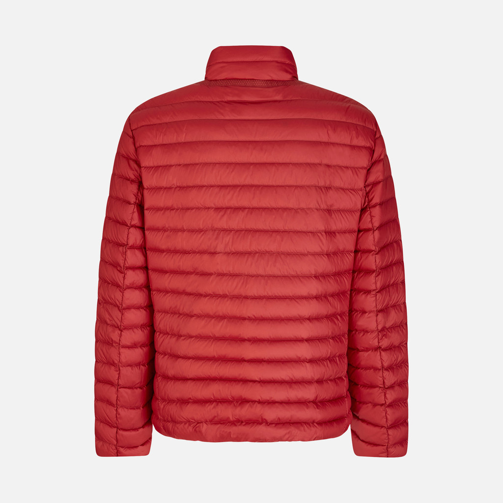 Geox® WARRENS MAN: Red Dahlia short down jacket | Geox
