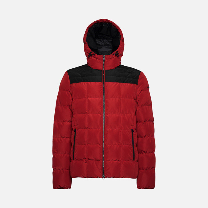 Jacket with hood MAGNETE MAN Red dahlia/Black | GEOX